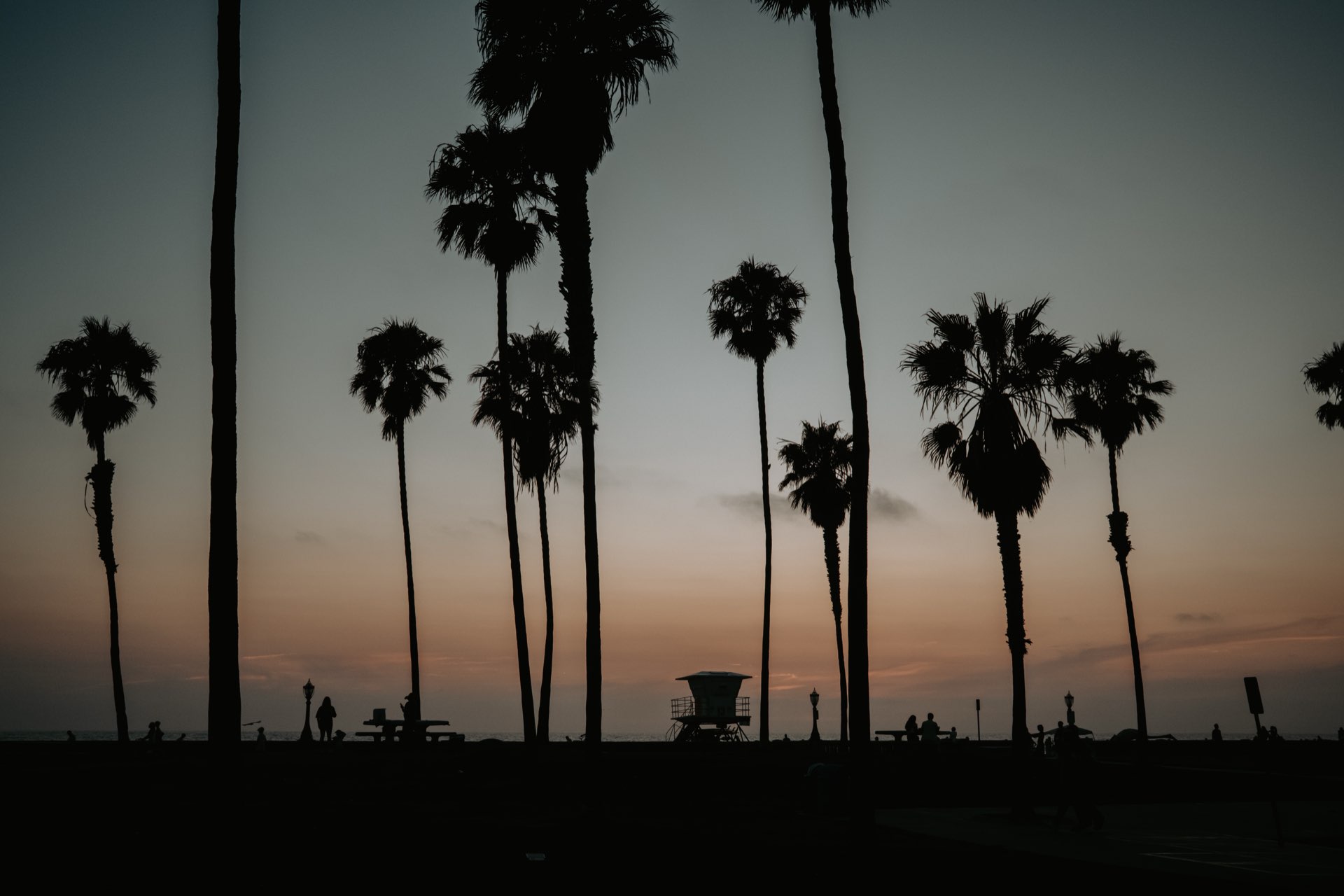 Palm trees at sunset — California vibes